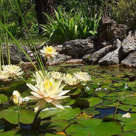 Bastida De Beata Bed & Breakfast Noailles  Luaran gambar