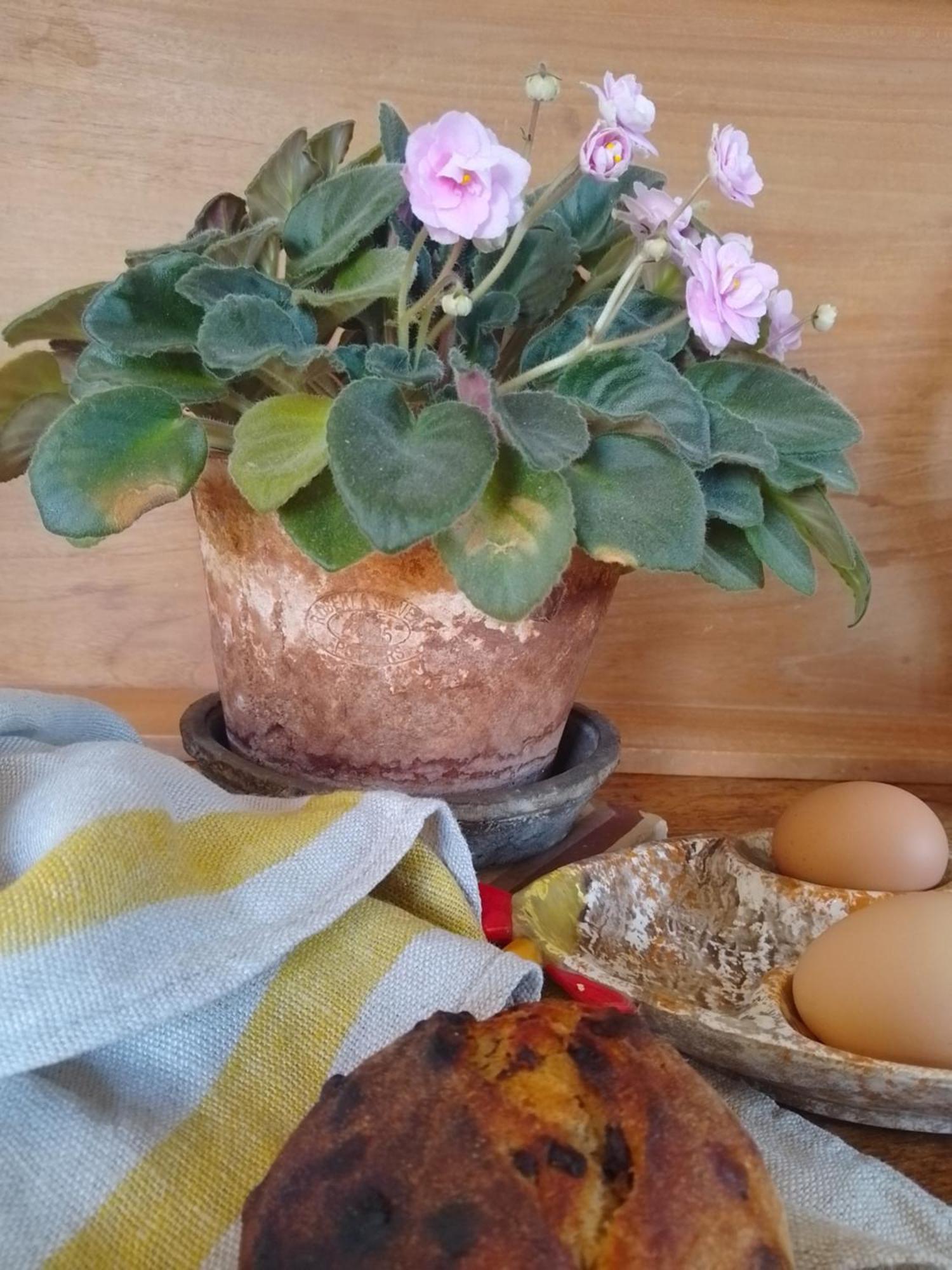 Bastida De Beata Bed & Breakfast Noailles  Luaran gambar