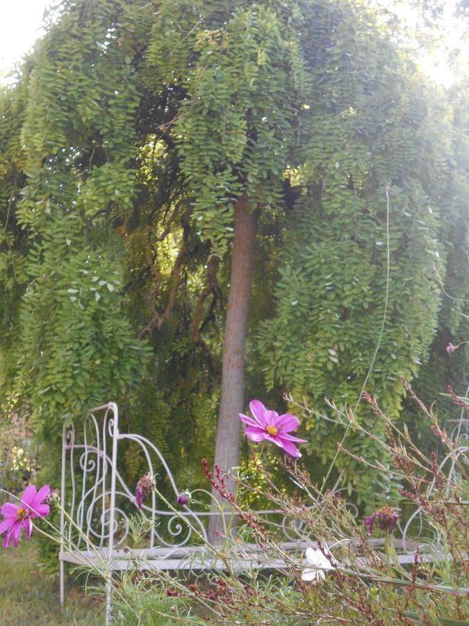 Bastida De Beata Bed & Breakfast Noailles  Luaran gambar