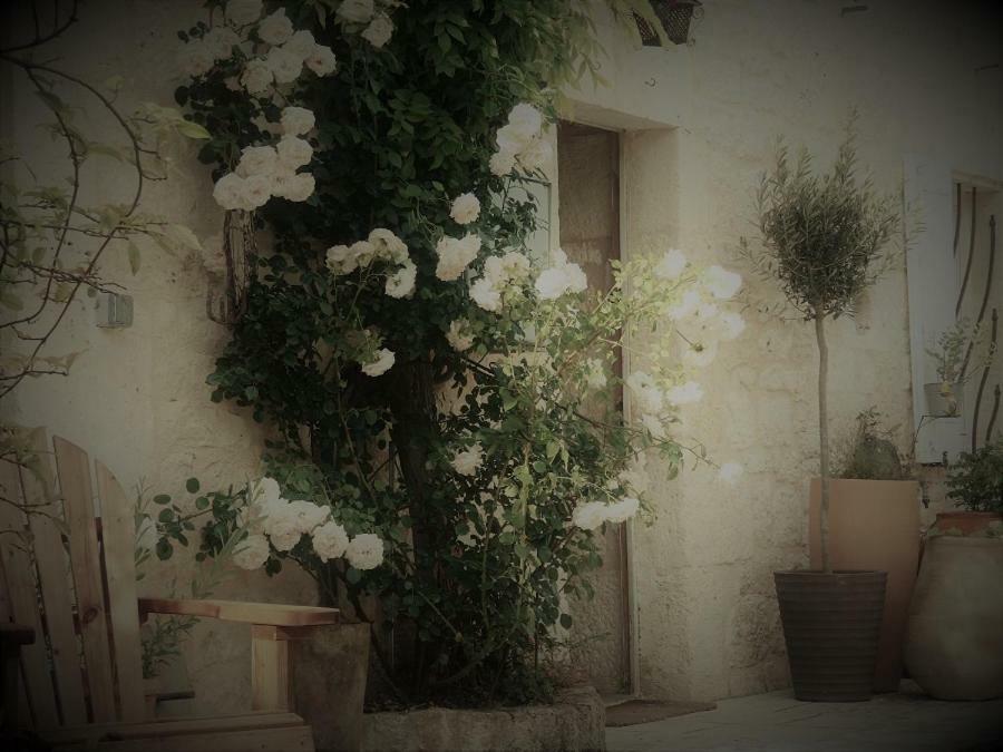 Bastida De Beata Bed & Breakfast Noailles  Luaran gambar