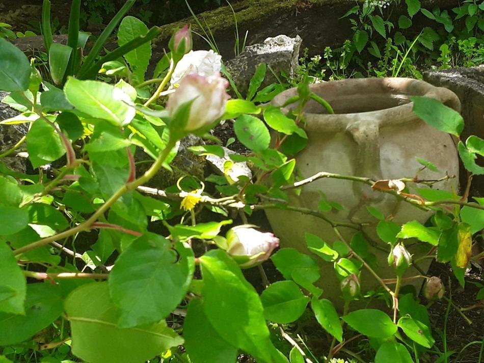 Bastida De Beata Bed & Breakfast Noailles  Luaran gambar